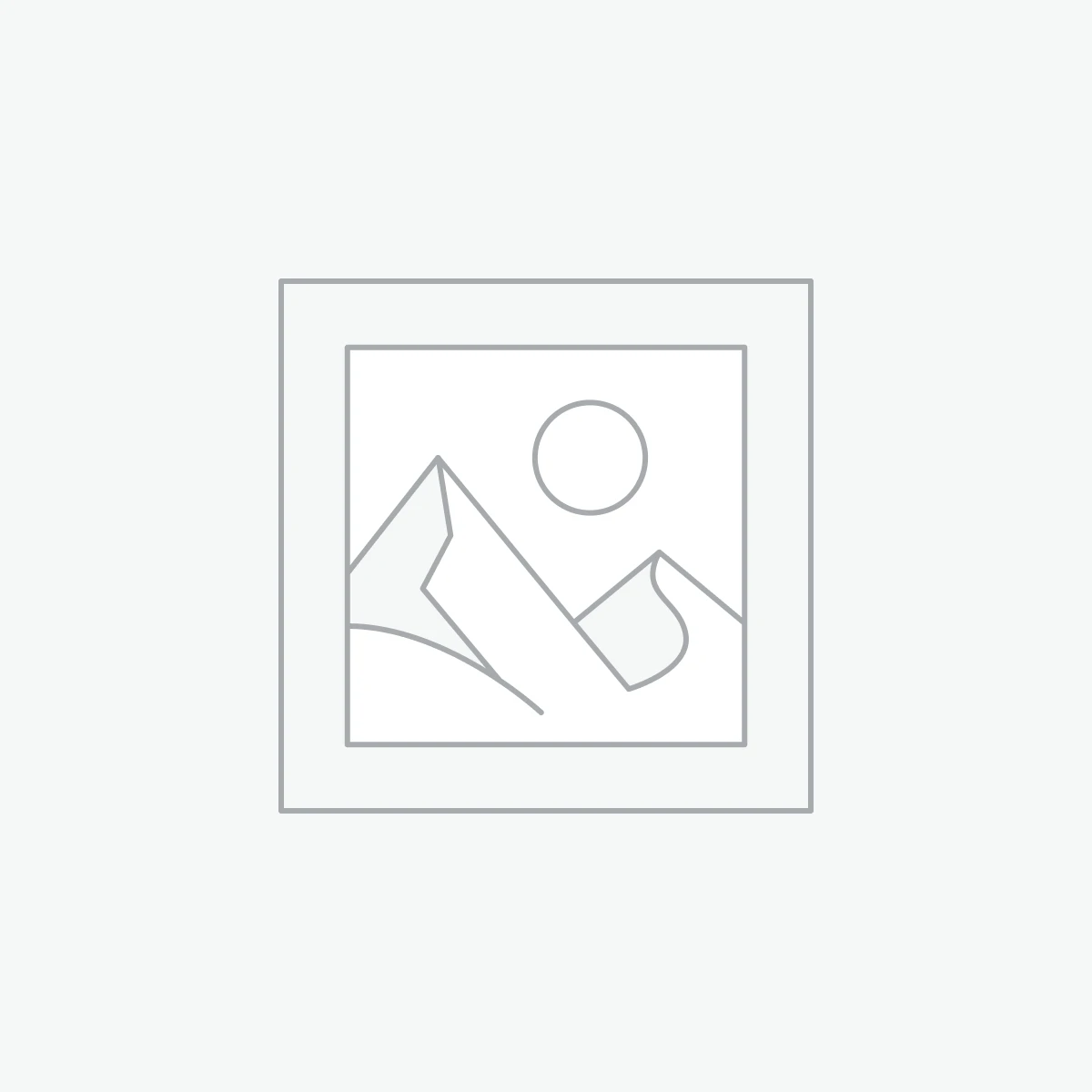 NIPPON PAINT EFECTADO BASE COAT